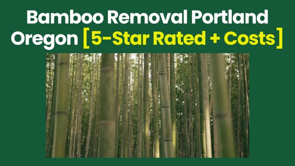 Bamboo Removal Portland Oregon